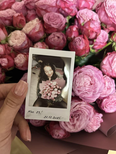 Polaroid Bundle